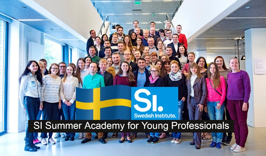 The 2021 SI Summer Academy for Young Professionals (SAYP) in Sweden | Study Opportunities