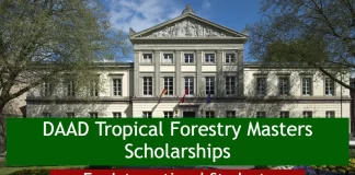 The DAAD Tropical Forestry Masters Scholarships at University of Göttingen
