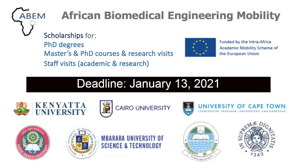 The African Biomedical Engineering Mobility (ABEM) Scholarship Program 2021