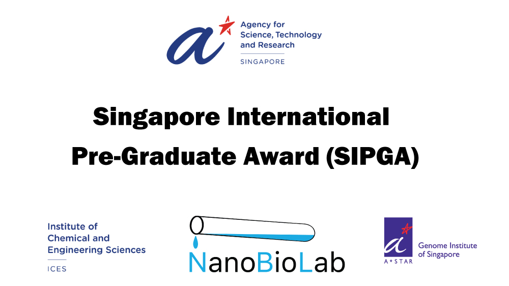 The Singapore International Pre-Graduate Award (SIPGA) for Foreign Students