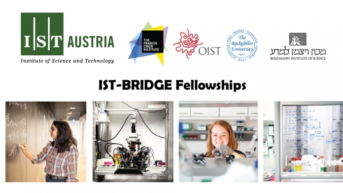 The IST-BRIDGE International Postdoctoral Program in Austria