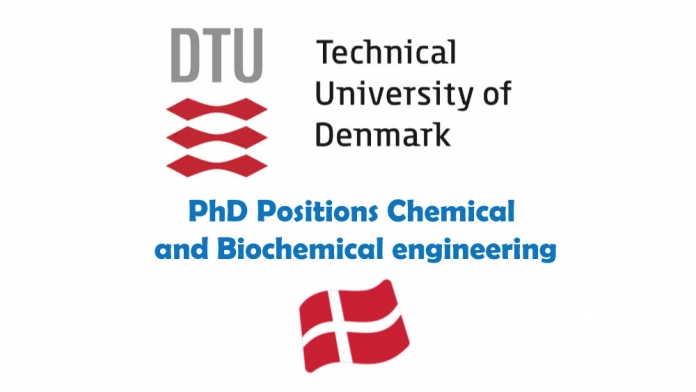 Technical University of Denmark (DTU) PhD Positions Chemical Engineering