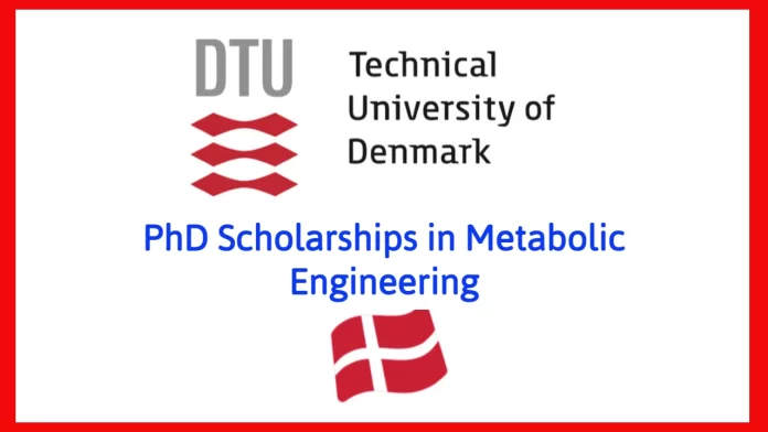 Technical University of Denmark (DTU) PhD Scholarships in Metabolic Engineering